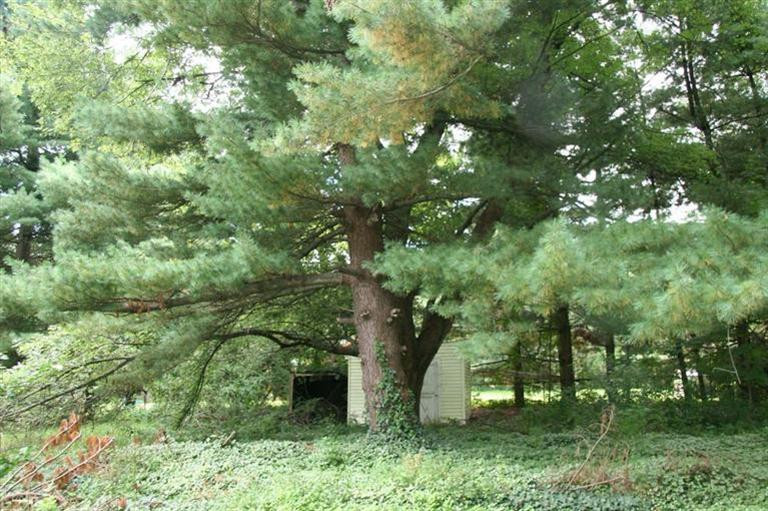 3080 Mott Road Ypsilanti, MI 48198 - Photo 26 of 27 Photo 26