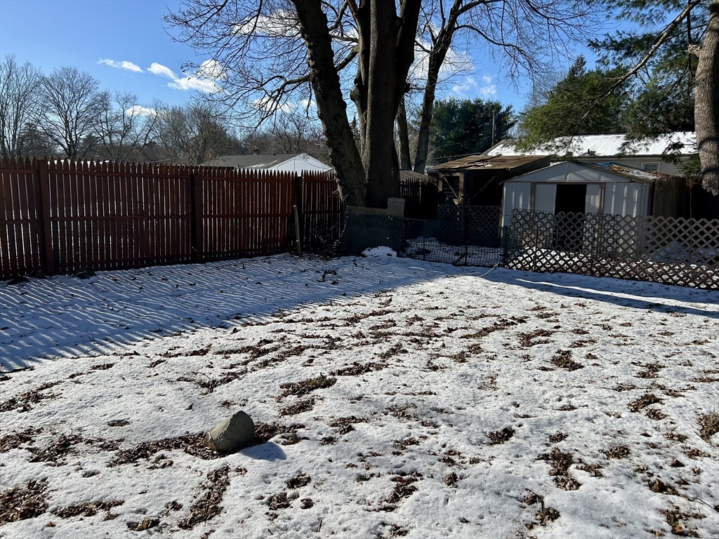 42 Talmadge Drive Springfield, MA 01118 - Photo 21 of 21 a view of a backyard with a large tree