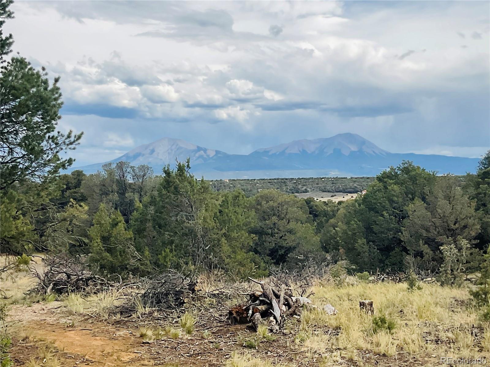 17 Phase 3 Navajo Ranch Walsenburg, CO 81089 - Photo 5 of 26 a view of a yard with mountains in the background