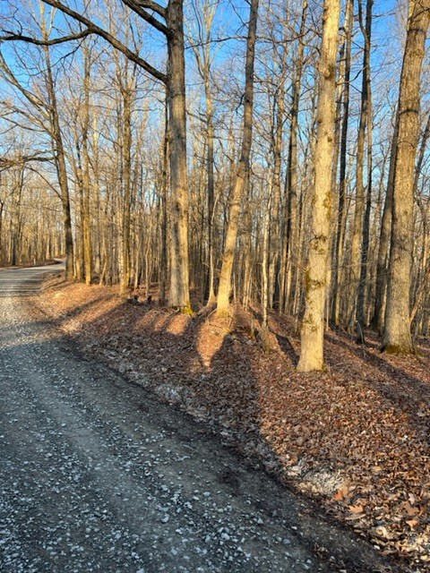0 Rocky Point Road Stewart, TN 37175 - Photo 7 of 10 Gallery Image 7