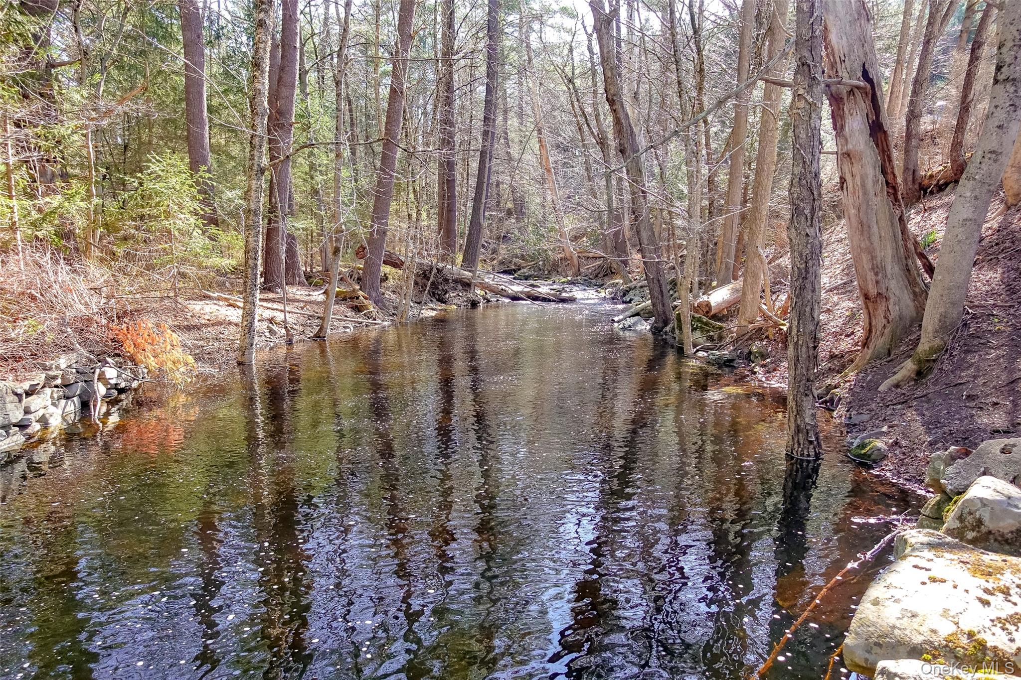 7 Highland Lake Road Eldred, NY 12732 - Photo 5 of 19 a view of a lake with trees