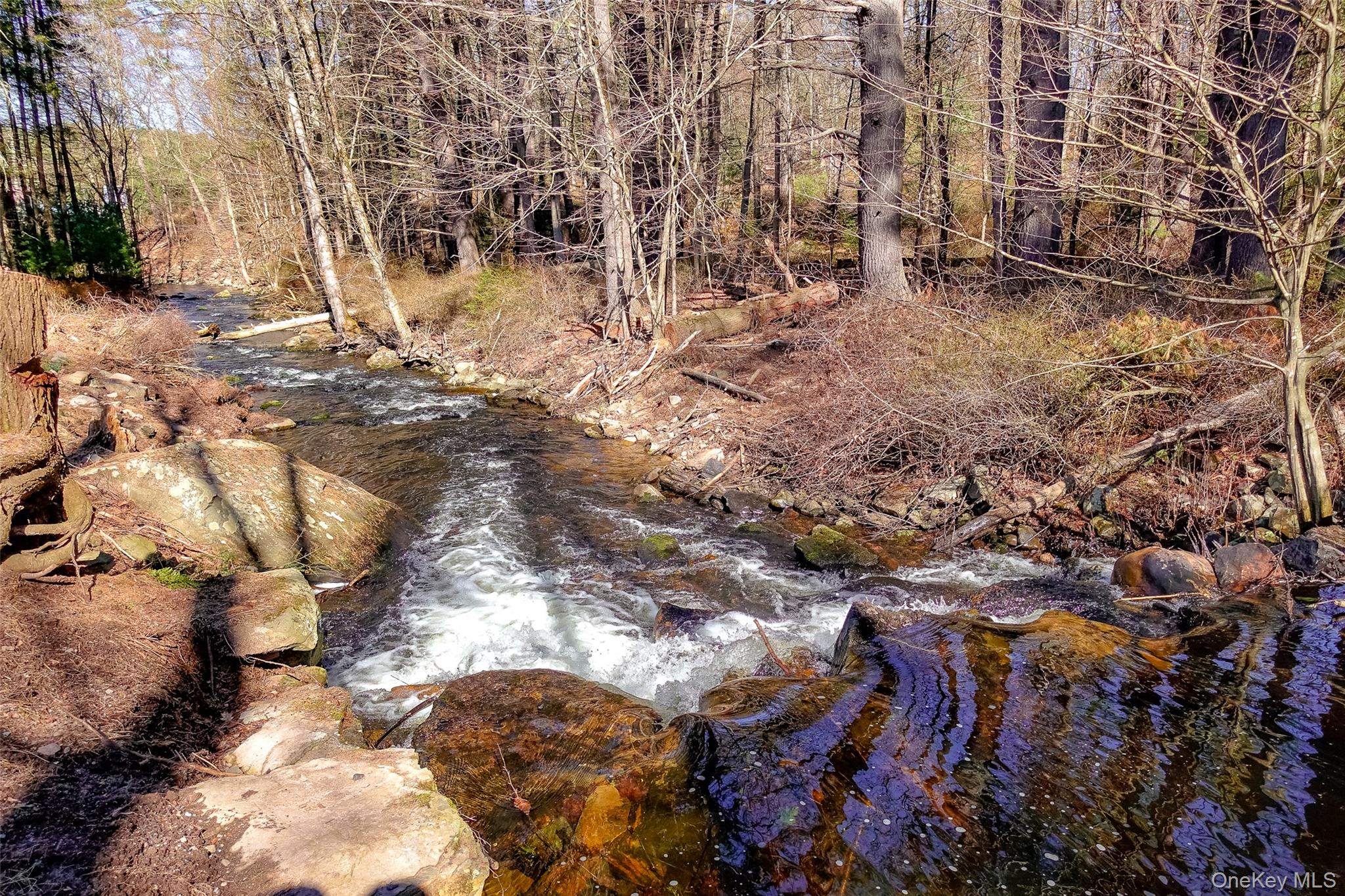 7 Highland Lake Road Eldred, NY 12732 - Photo 6 of 19 a backyard of a building