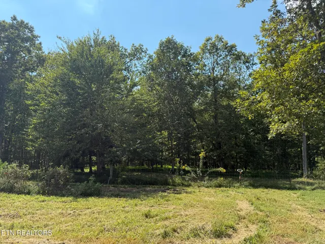 $199,900 | 157 Triple J Trail, Deer Lodge, TN 37726