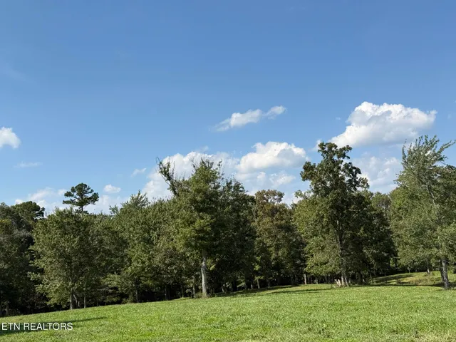 $199,900 | 157 Triple J Trail, Deer Lodge, TN 37726