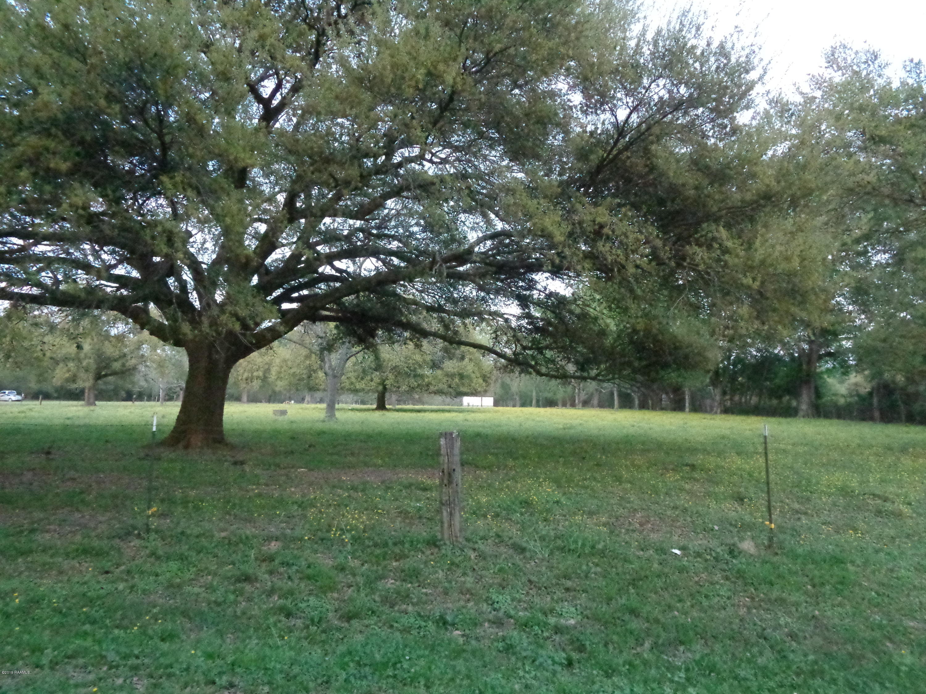 5031 Woodlawn Road Maurice, LA 70555 - Photo 2 of 13 DSC03853
