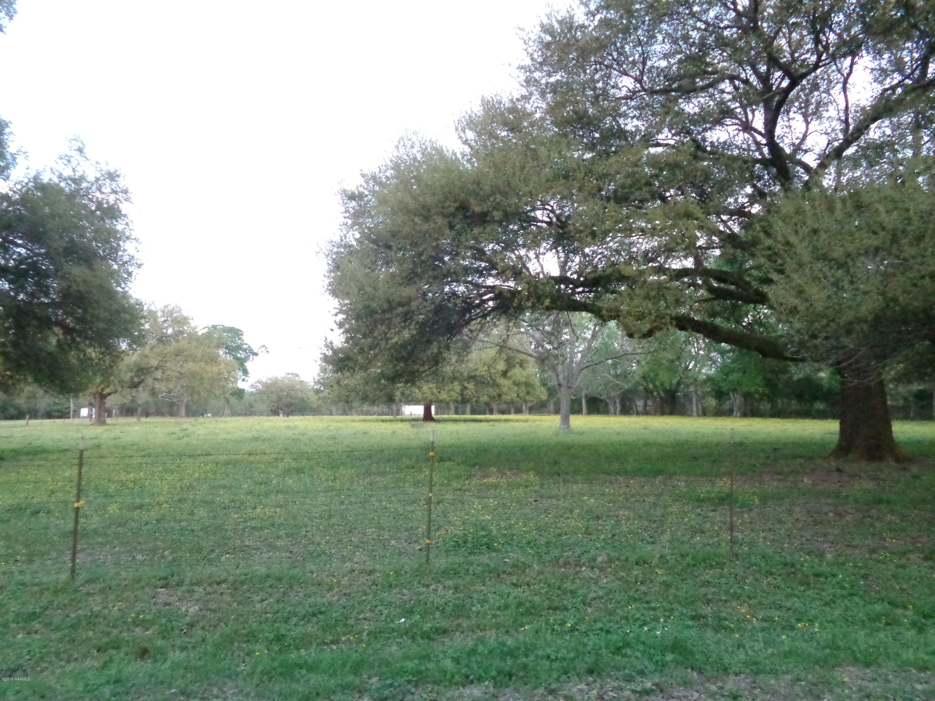 5031 Woodlawn Road Maurice, LA 70555 - Photo 3 of 13 DSC03854
