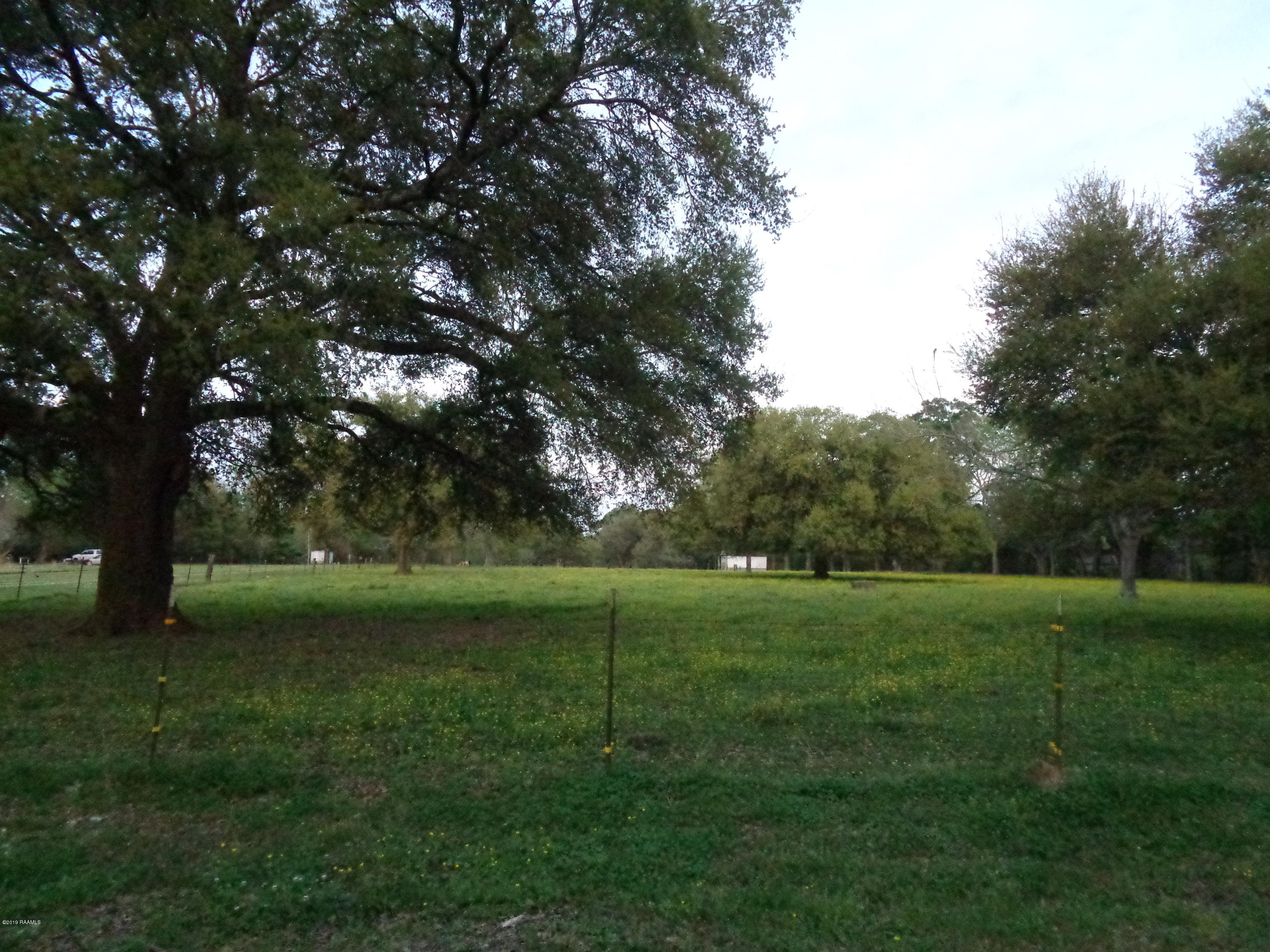 5031 Woodlawn Road Maurice, LA 70555 - Photo 4 of 13 DSC03855