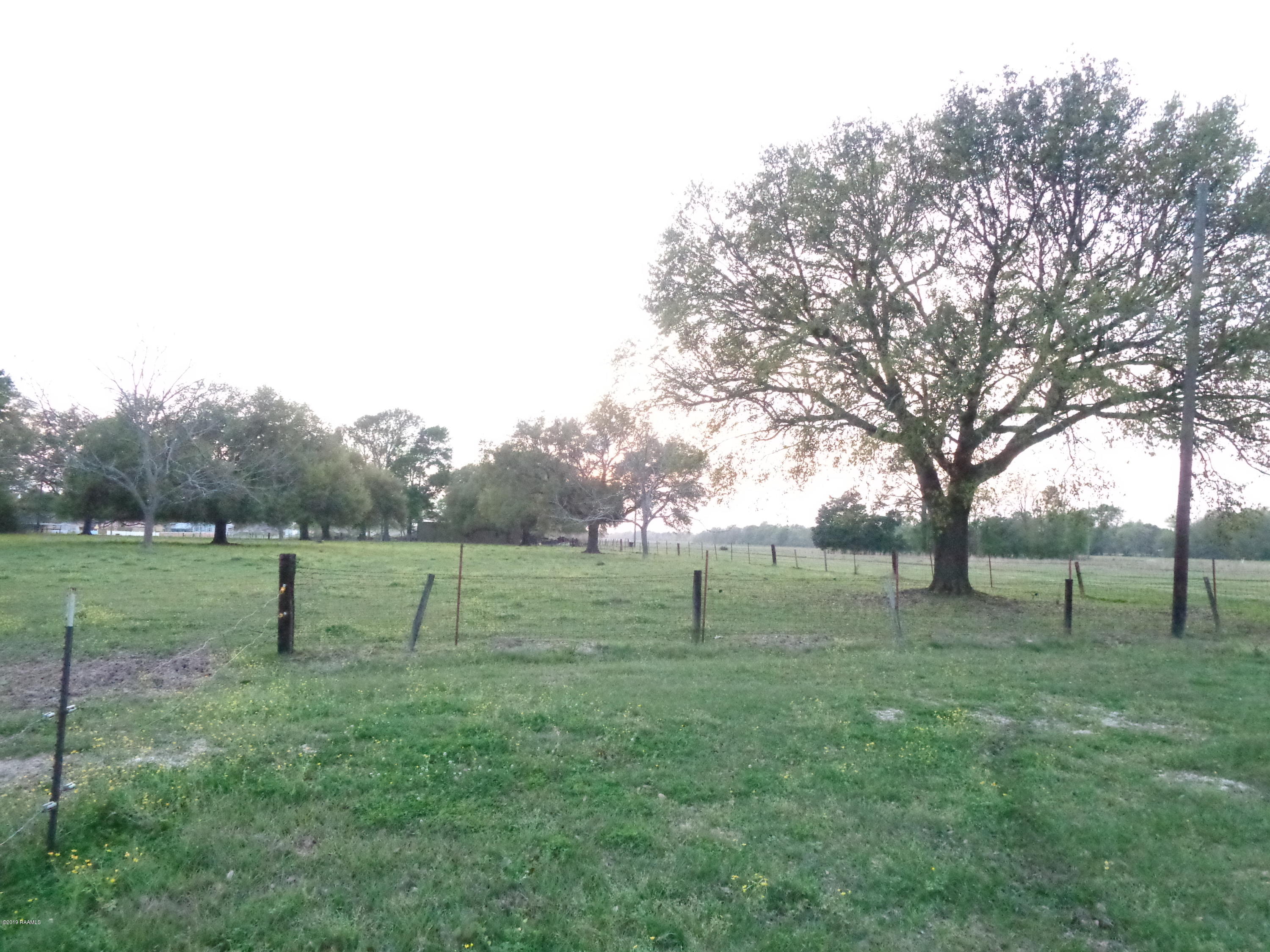 5031 Woodlawn Road Maurice, LA 70555 - Photo 6 of 13 DSC03857