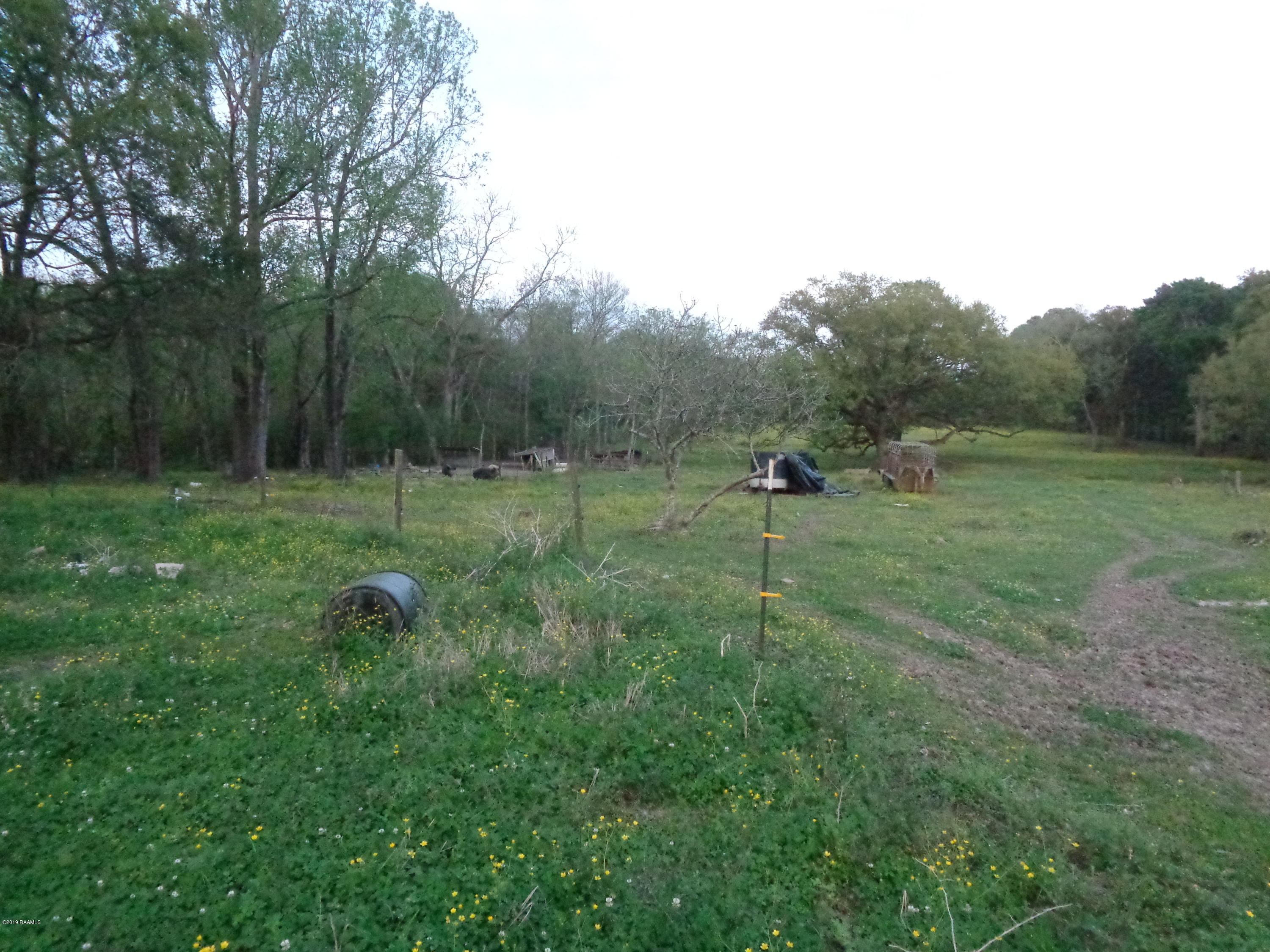 5031 Woodlawn Road Maurice, LA 70555 - Photo 7 of 13 DSC03858