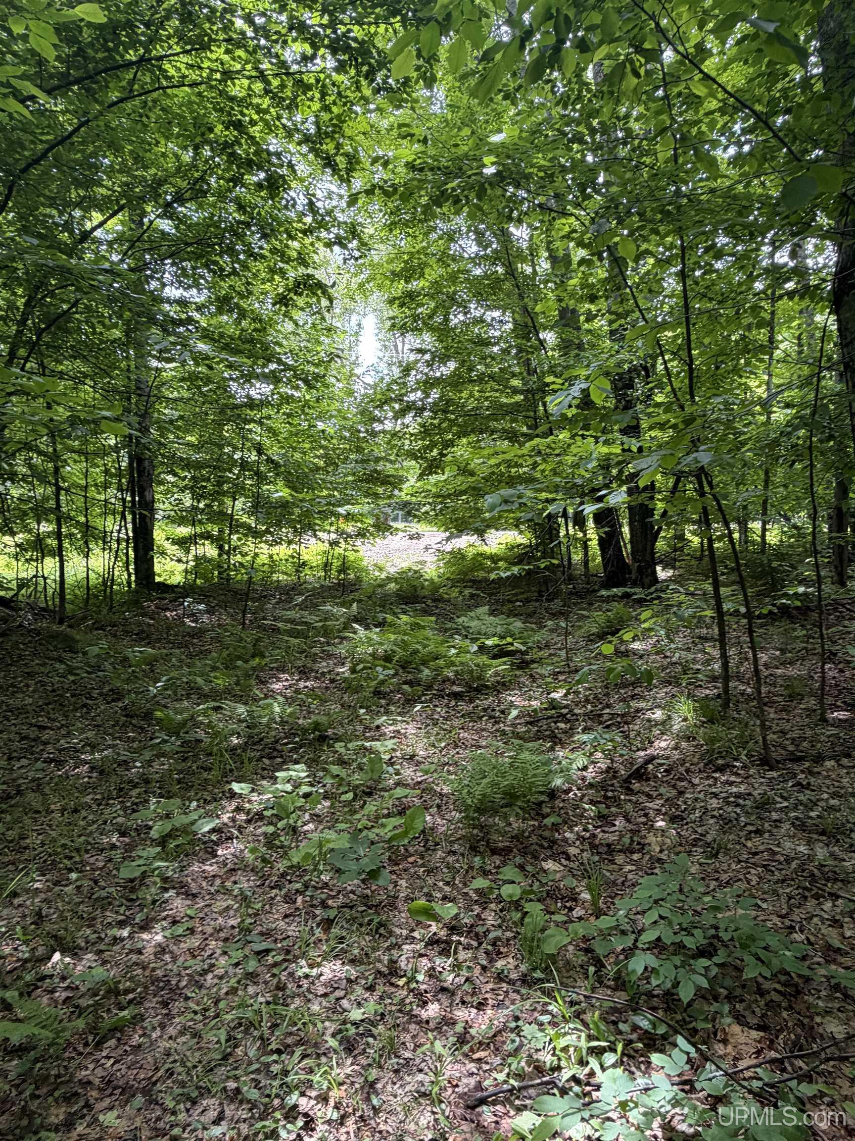 Tbd20 Skanee Road Skanee, MI 49962 - Photo 20 of 26