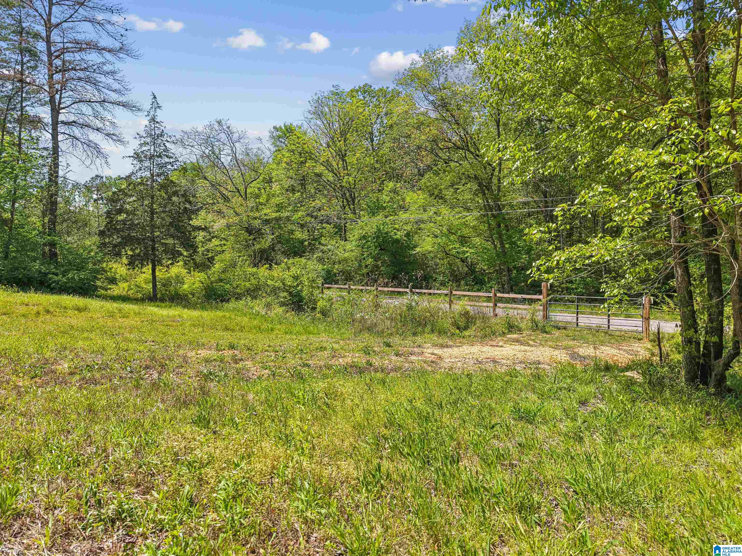 1678 Hays Cemetery Road Hayden, AL 35079 - Photo 51 of 87