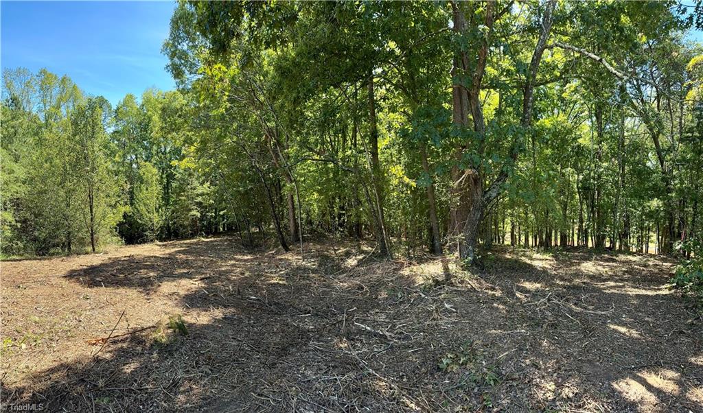 1095 Voss Hill Drive King, NC 27021 - Photo 12 of 37