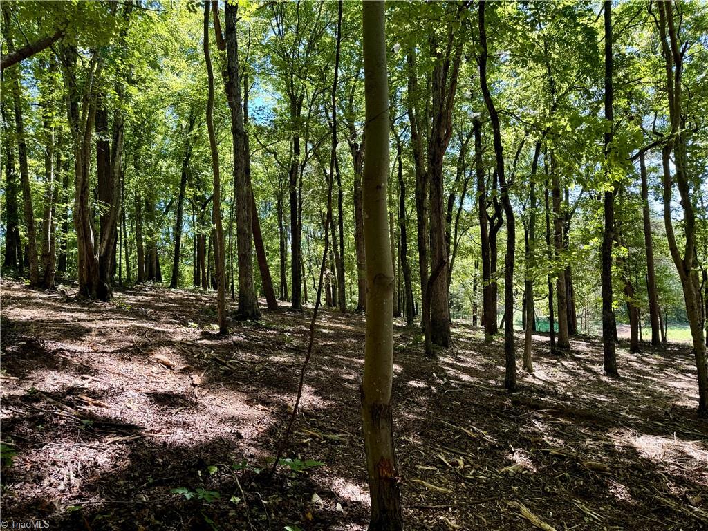 1095 Voss Hill Drive King, NC 27021 - Photo 14 of 37