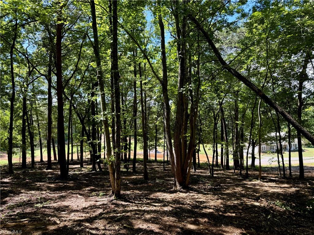 1095 Voss Hill Drive King, NC 27021 - Photo 15 of 37