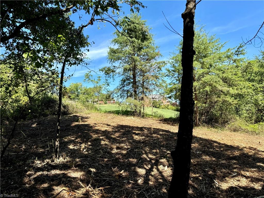 1095 Voss Hill Drive King, NC 27021 - Photo 16 of 37