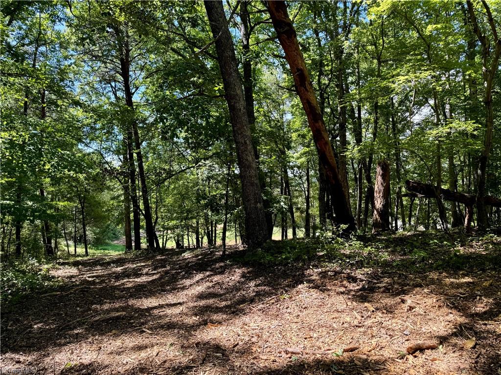 1095 Voss Hill Drive King, NC 27021 - Photo 17 of 37