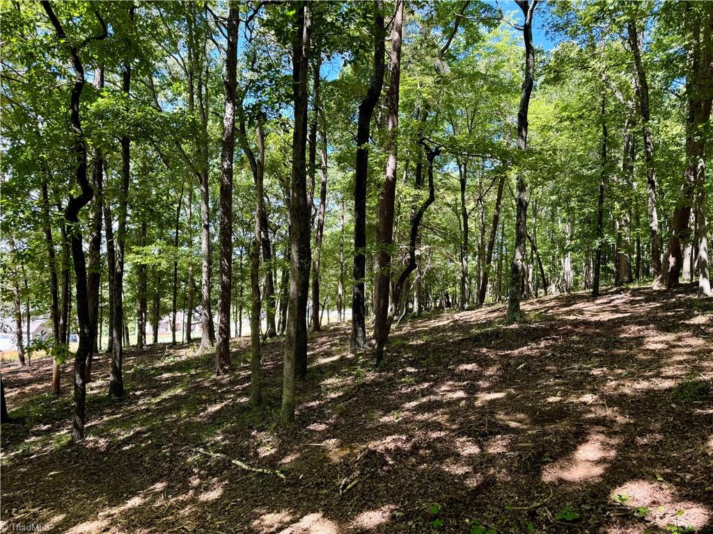 1095 Voss Hill Drive King, NC 27021 - Photo 20 of 37