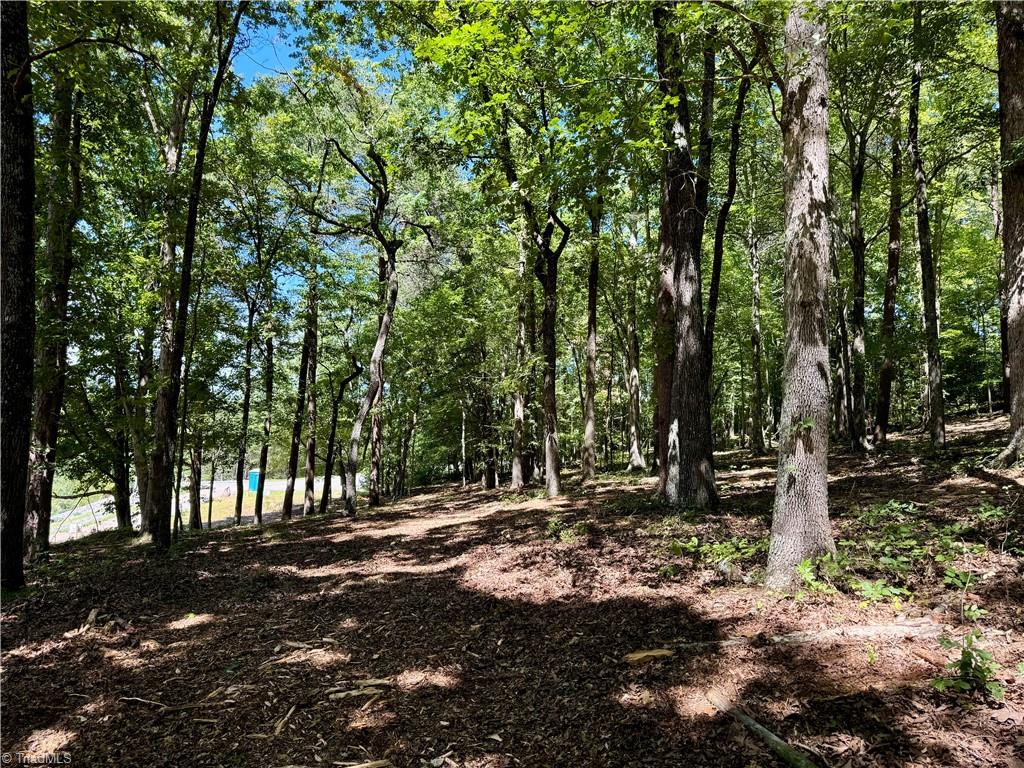 1095 Voss Hill Drive King, NC 27021 - Photo 21 of 37