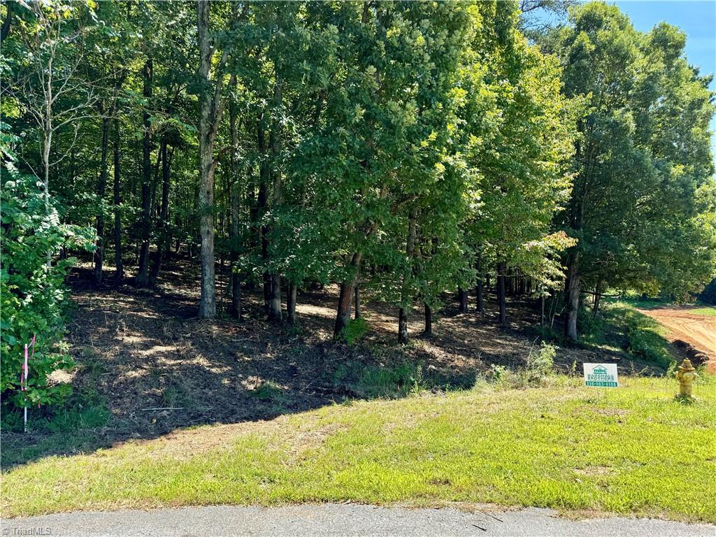 1095 Voss Hill Drive King, NC 27021 - Photo 26 of 37