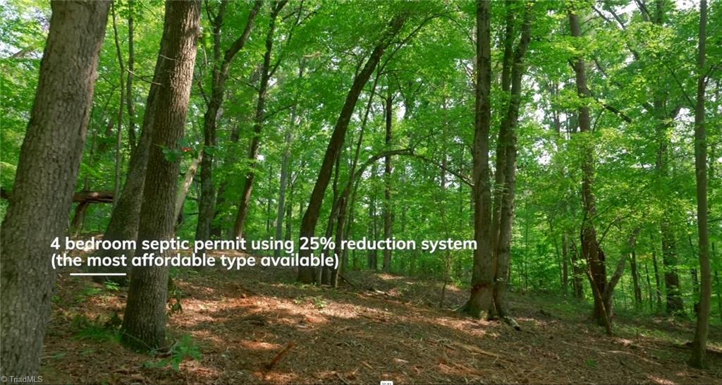 1095 Voss Hill Drive King, NC 27021 - Photo 3 of 37