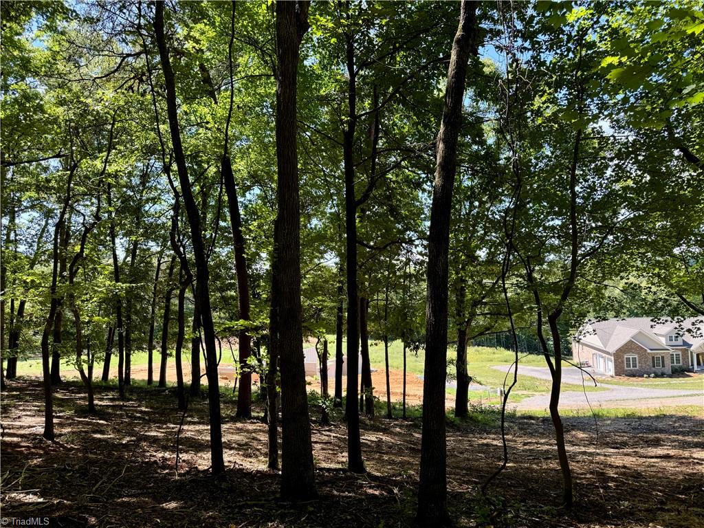 1095 Voss Hill Drive King, NC 27021 - Photo 8 of 37