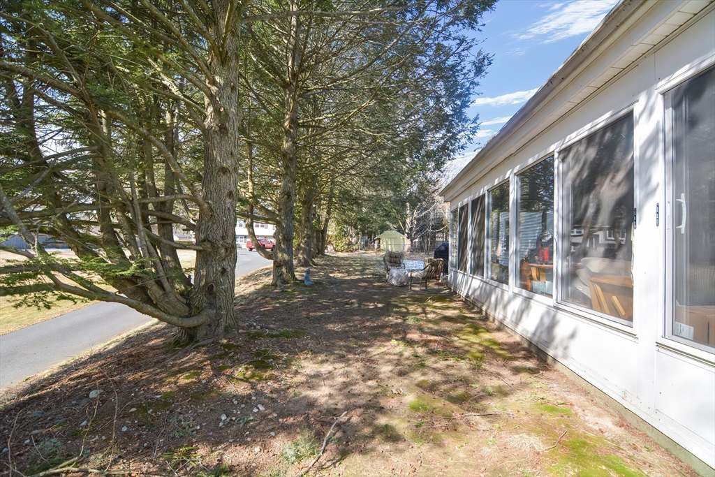 72 Appledor Road, Unit A Framingham, MA 01701 - Photo 38 of 39 a view of a pathway with a tree