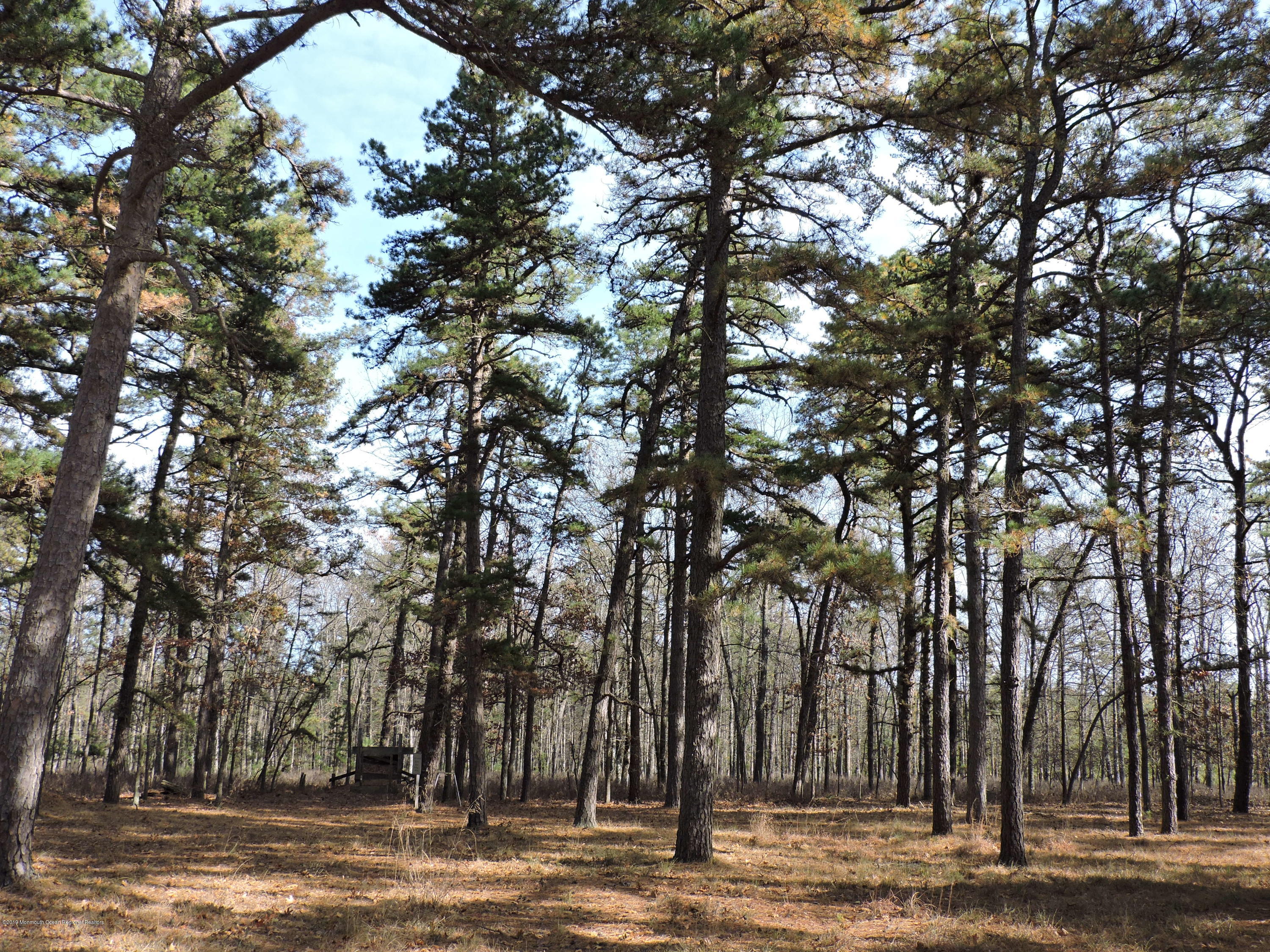 0 Webbs Mill Road Manchester Township, NJ 08759 - Photo 25 of 29 DSCN0355