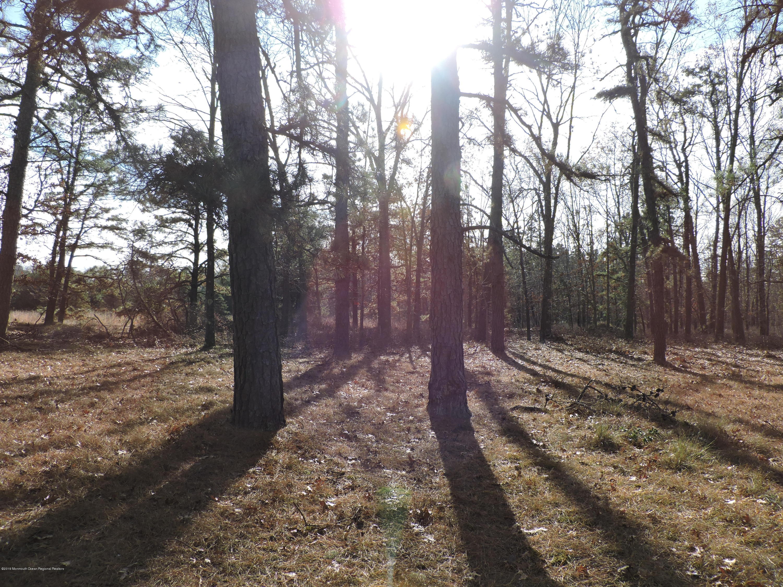 0 Webbs Mill Road Manchester Township, NJ 08759 - Photo 28 of 29 DSCN0367