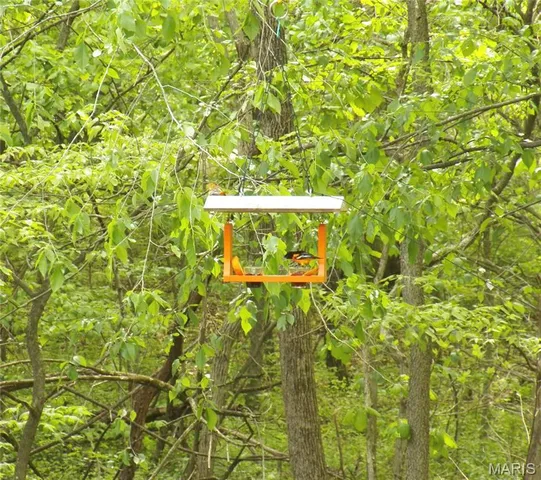 $397,500 | 16010 Lemon Lane, Butler, IL 62015