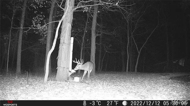 $397,500 | 16010 Lemon Lane, Butler, IL 62015