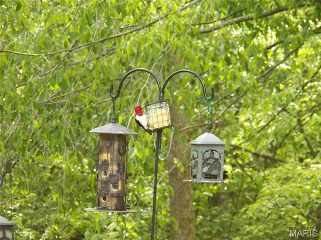 $397,500 | 16010 Lemon Lane, Butler, IL 62015