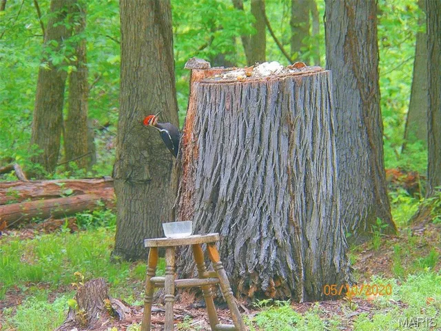 $397,500 | 16010 Lemon Lane, Butler, IL 62015