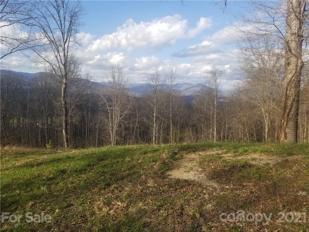 0 Fox Run Ridge Bryson City, NC 28713 - Photo 3 of 11 Gallery Image 3