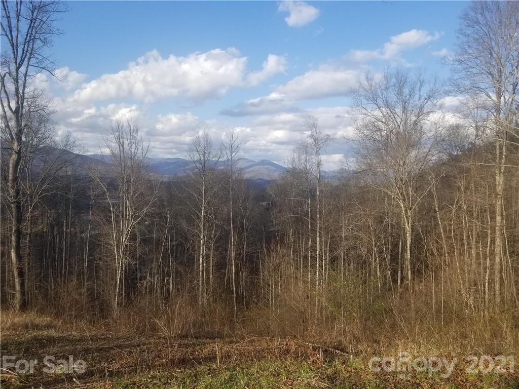 0 Fox Run Ridge Bryson City, NC 28713 - Photo 4 of 11 Gallery Image 4