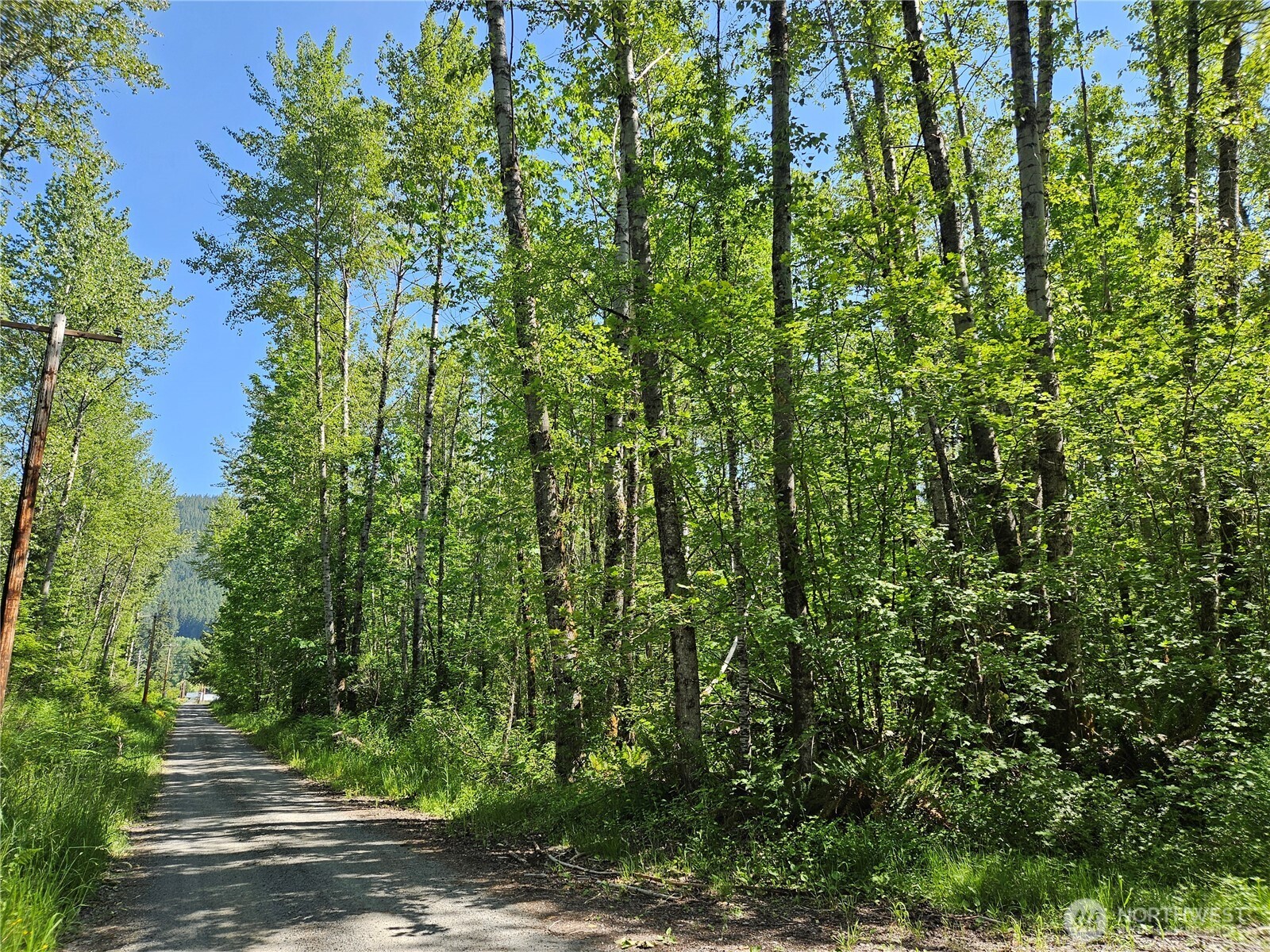 0 Park Junction Road East Elbe, WA 98330 - Photo 4 of 15