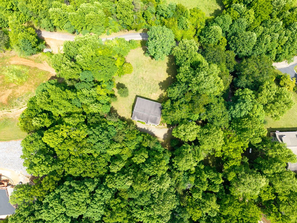201 Tahlequah Ridge Hayesville, NC 28904 - Photo 47 of 51