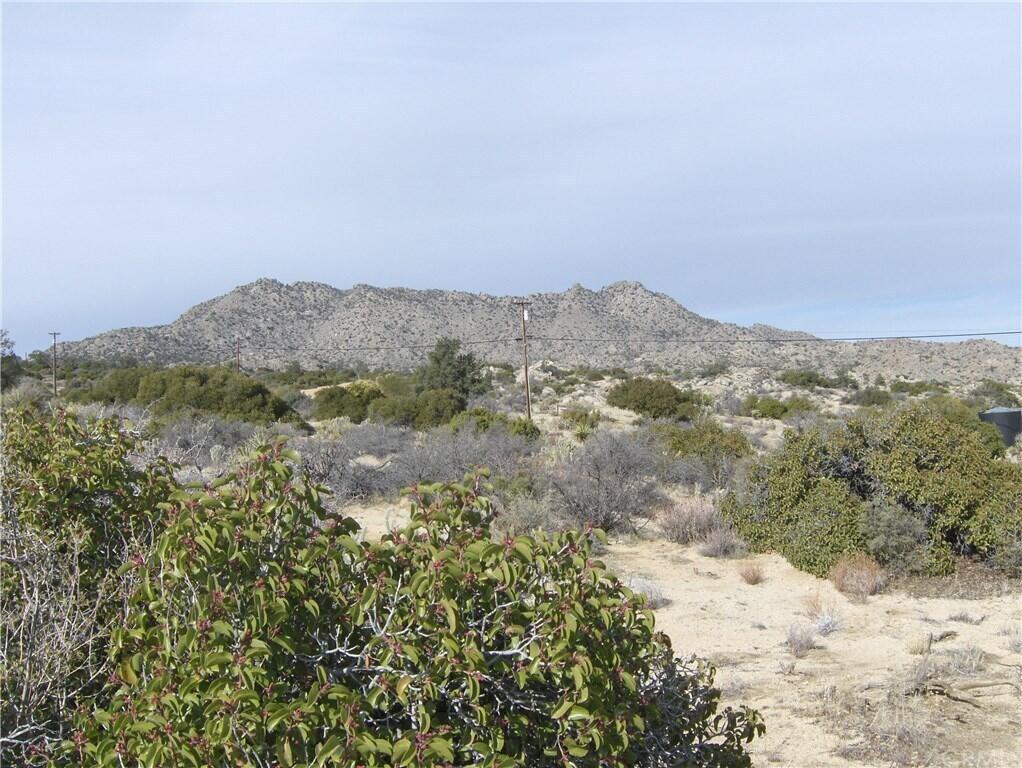 0 Carrizo Road Mountain Center, CA 92561 - Photo 15 of 28 2 (Nature) (7)