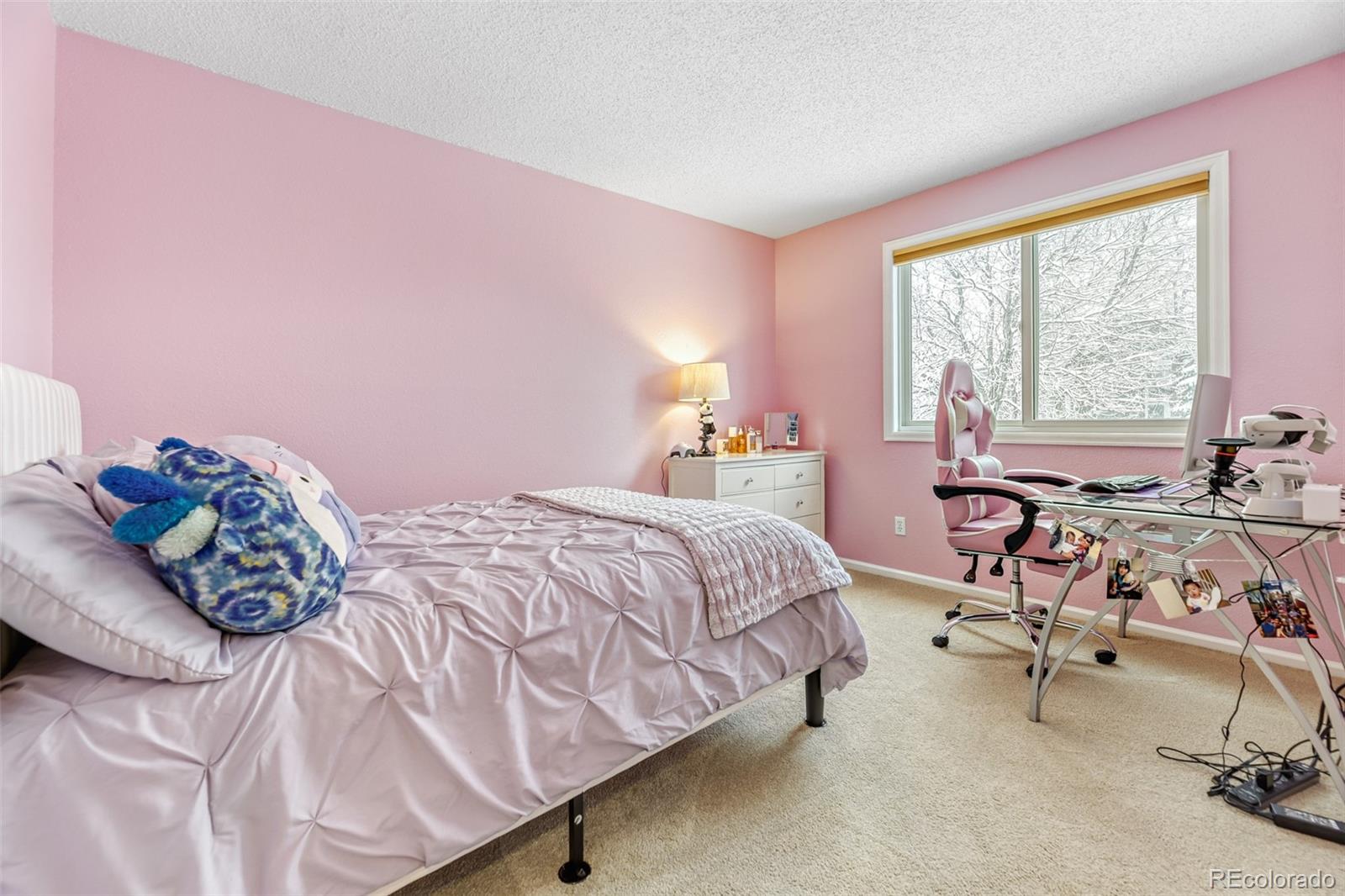 456 Bexley Lane Highlands Ranch, CO 80126 - Photo 19 of 28 a bedroom with a bed and a large window