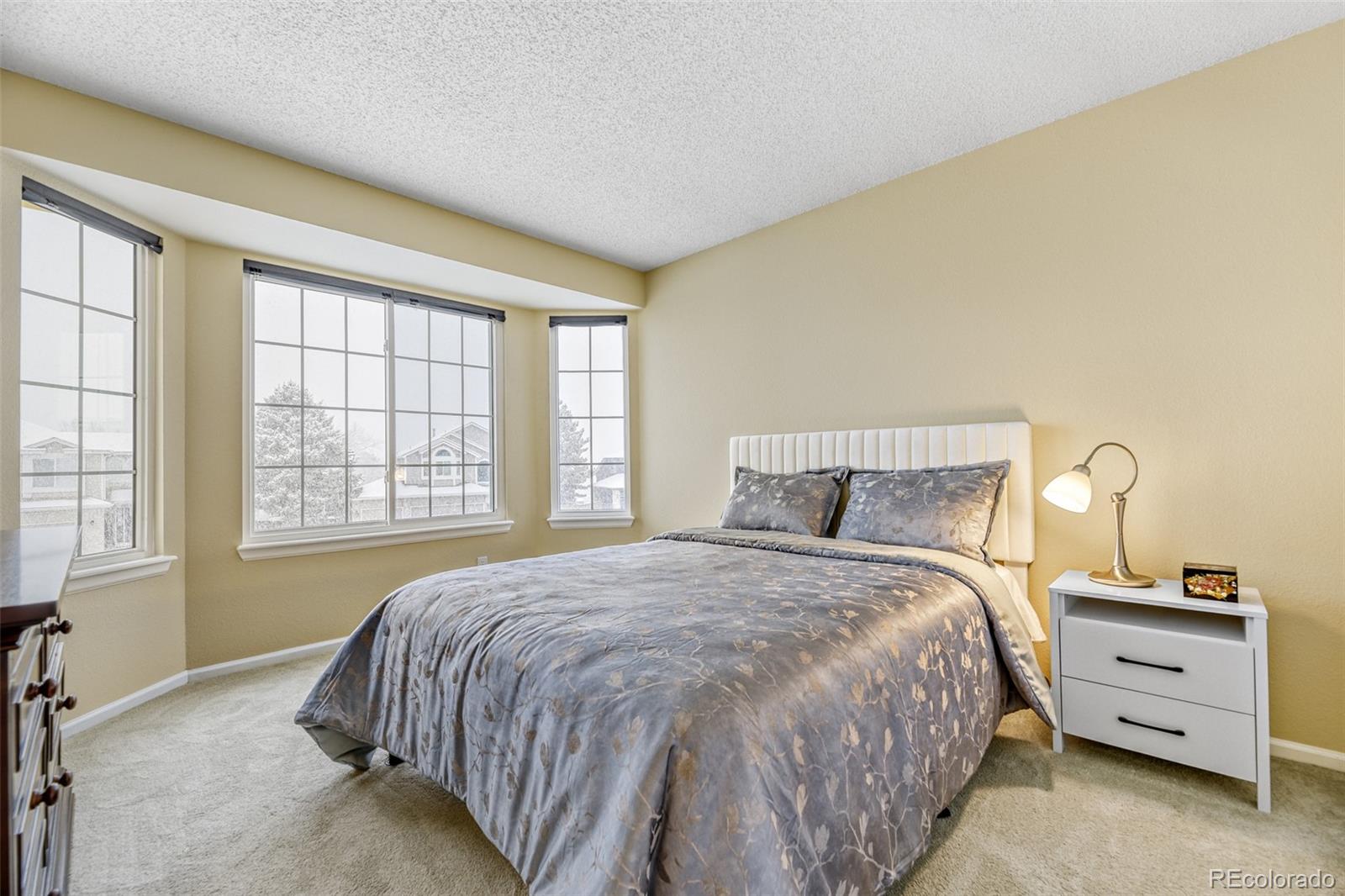 456 Bexley Lane Highlands Ranch, CO 80126 - Photo 20 of 28 a bed sitting in a bedroom next to a window