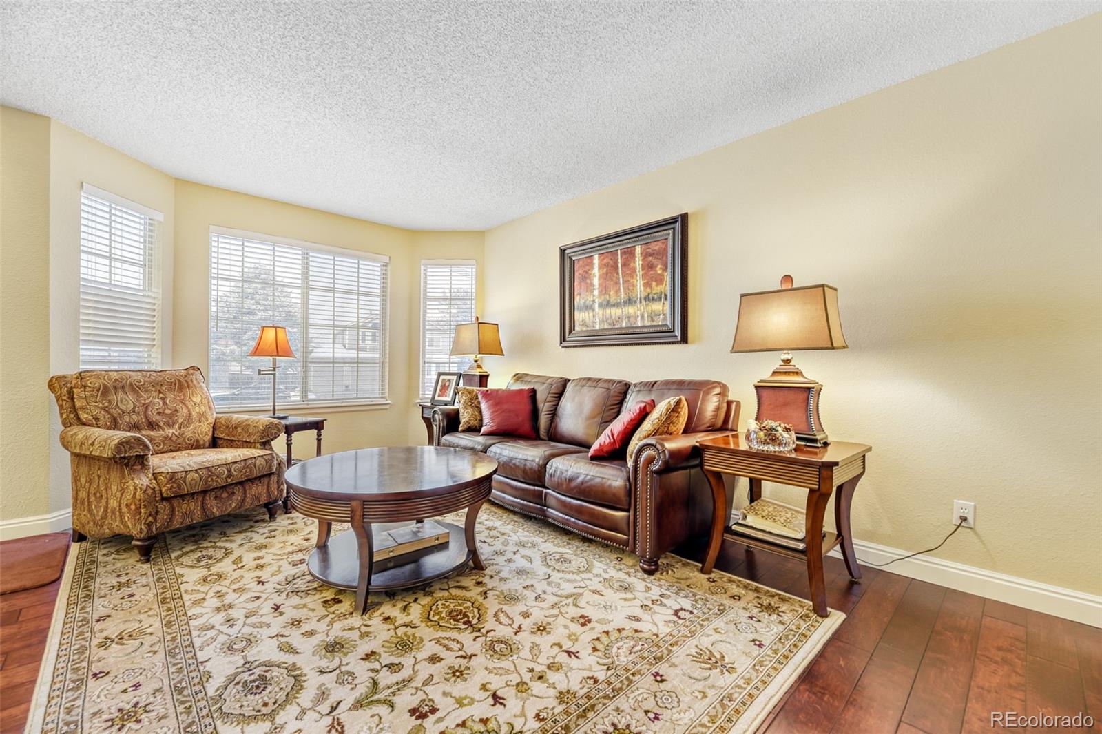 456 Bexley Lane Highlands Ranch, CO 80126 - Photo 4 of 28 a living room with furniture and a rug