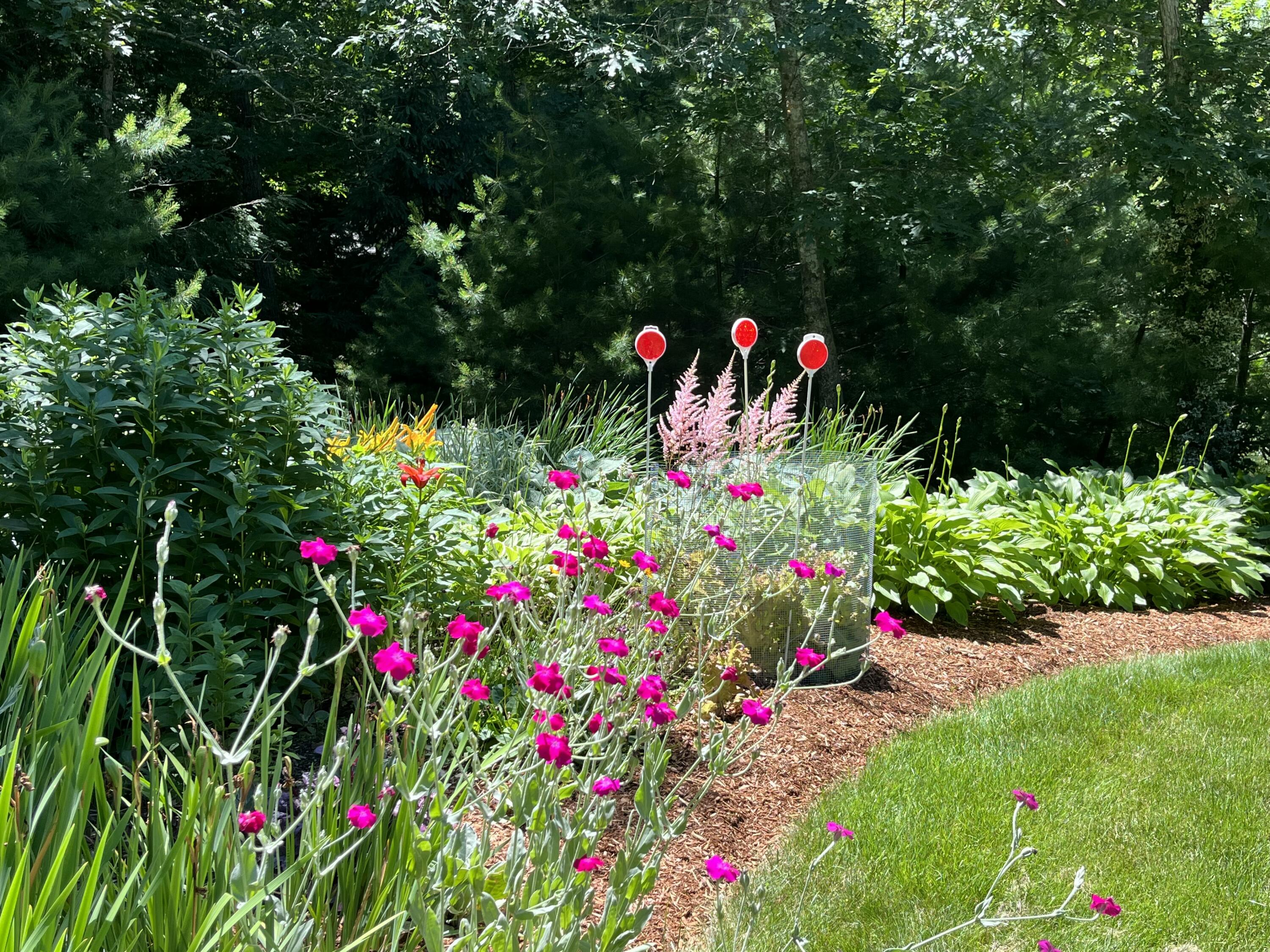 17 Claus Way Marstons Mills, MA 02648 - Photo 31 of 37 IMG_0900