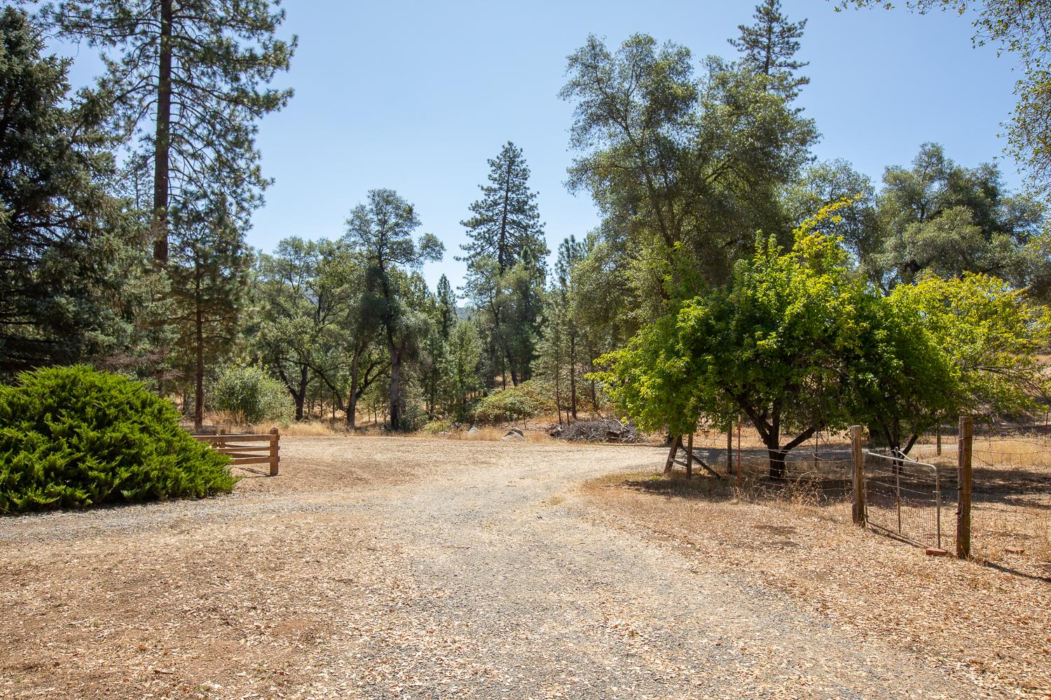 167 Darby Road Bangor, CA 95914 - Photo 63 of 76 Gallery Image 63