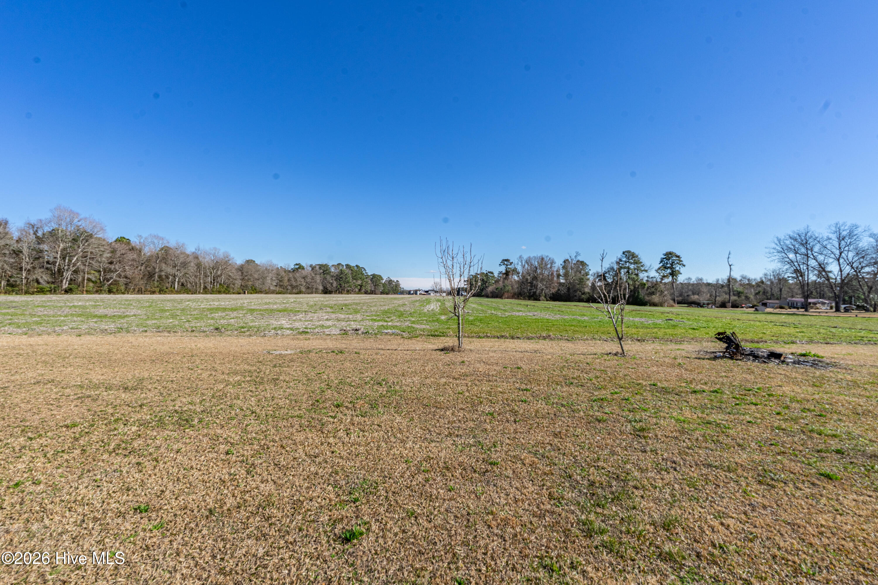 852 Bug Hill Road Nakina, NC 28455 - Photo 13 of 40 Home (8 of 39)