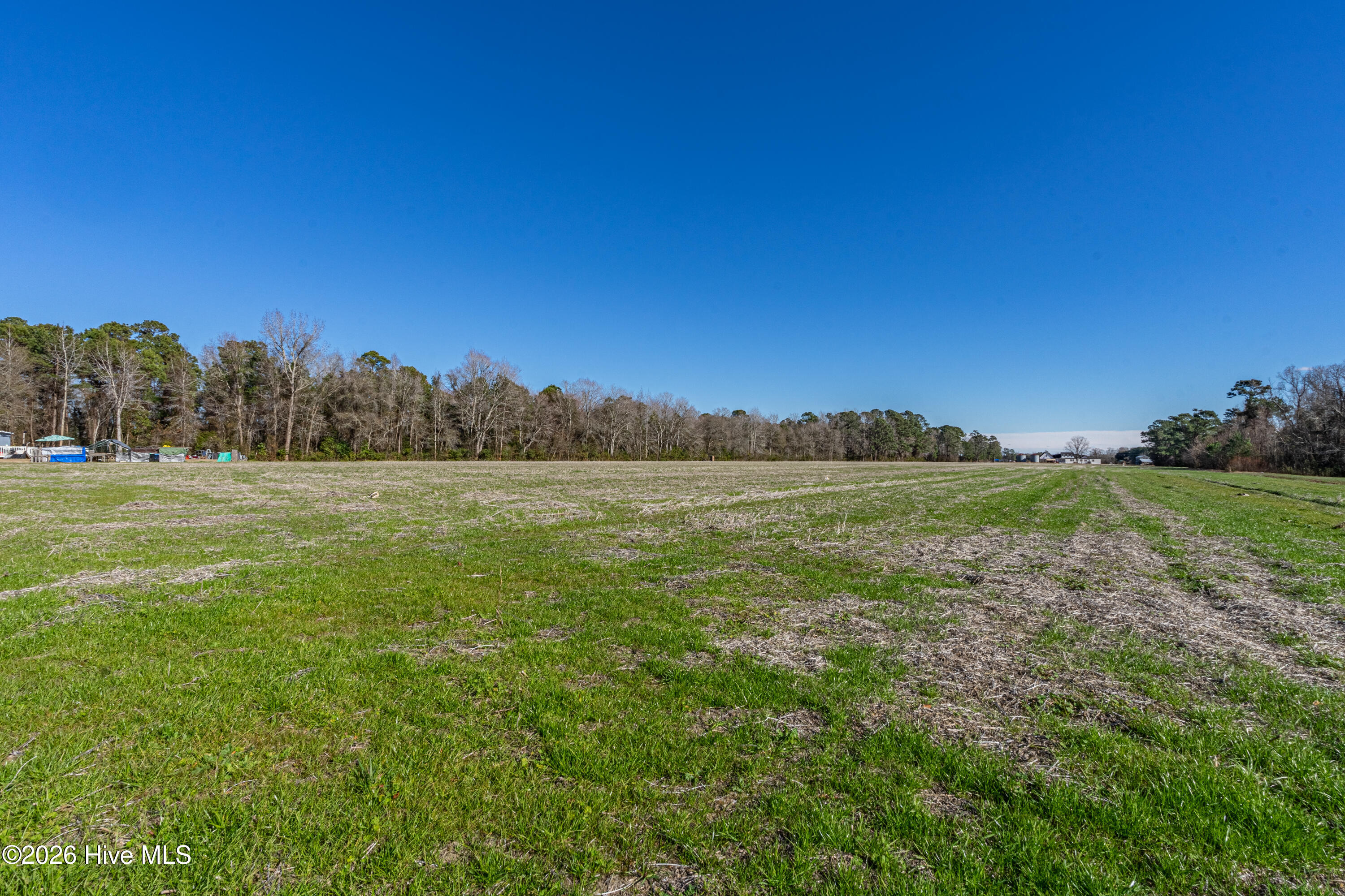 852 Bug Hill Road Nakina, NC 28455 - Photo 16 of 40 Home (11 of 39)