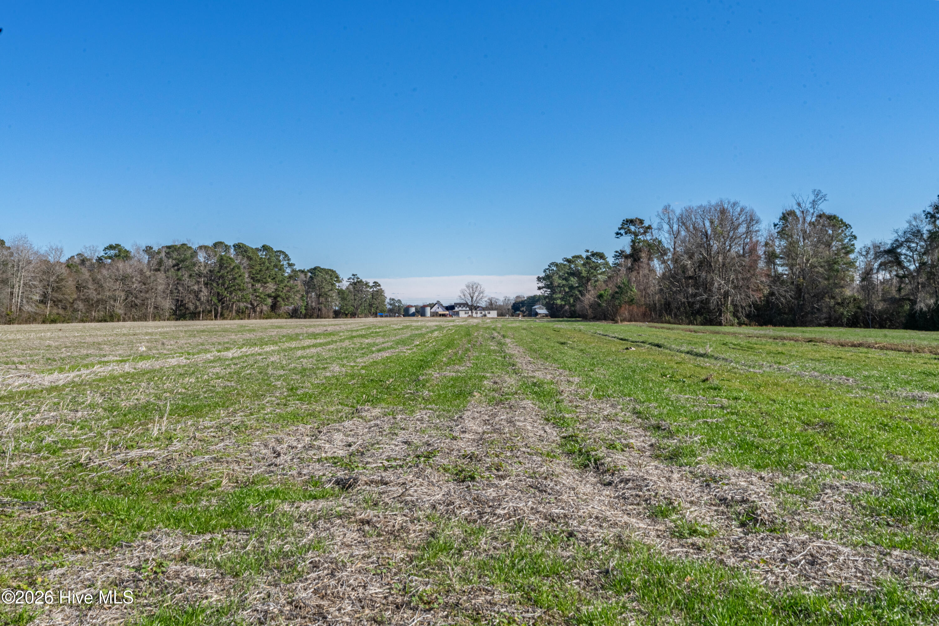 852 Bug Hill Road Nakina, NC 28455 - Photo 17 of 40 Home (13 of 39)