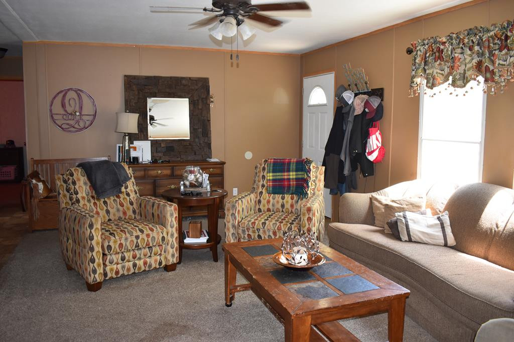 248 Scrub Oak Road Waynesboro, GA 30830 - Photo 2 of 8 Living room