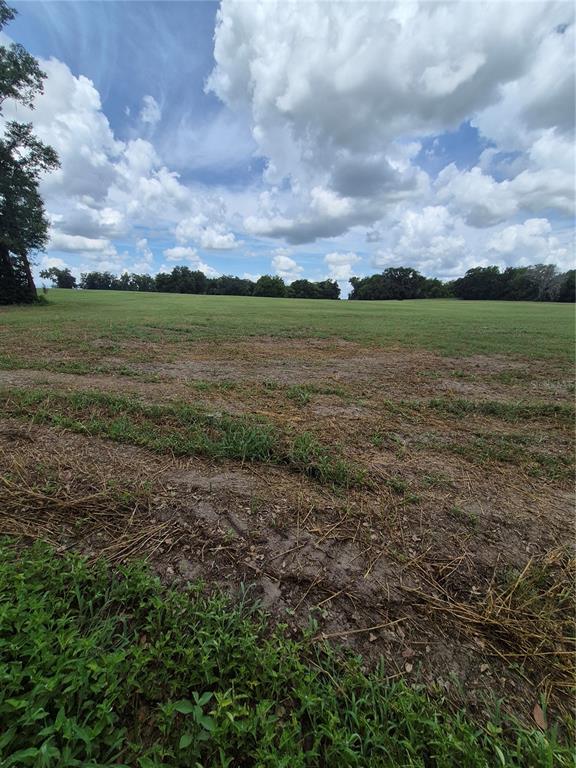 8748 Northeast Jacksonville Road Anthony, FL 32617 - Photo 3 of 9 a view of a field with an ocean