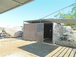 3675 Carveacre Road Alpine, CA 91901 - Photo 4 of 7