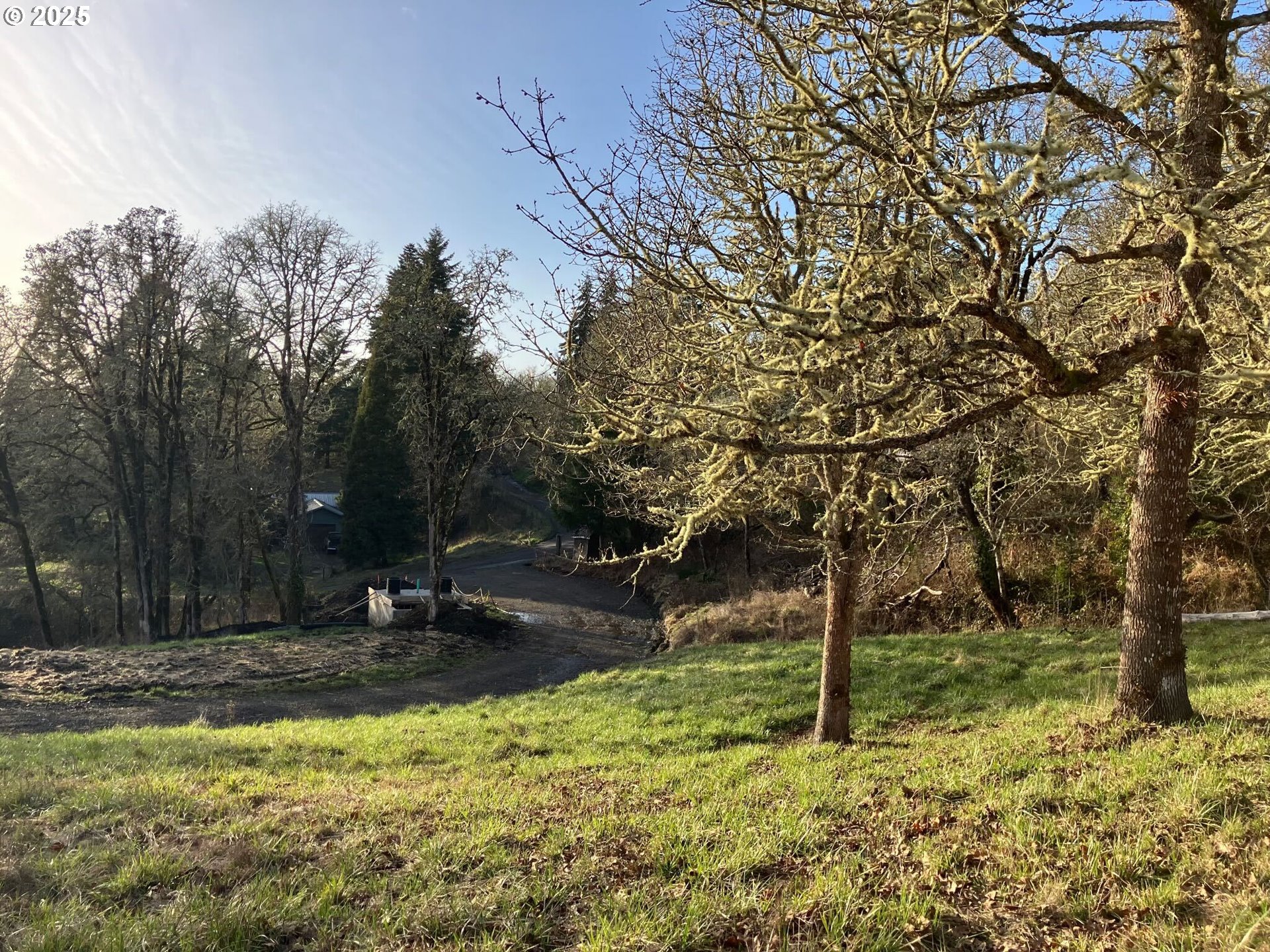 Ne Centre, Unit 1 Sheridan, OR 97378 - Photo 1 of 25 a view of outdoor space with trees