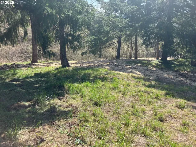 a view of backyard with tree